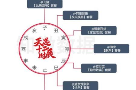 探索午时辰气：上午1040命理解析与人生启示