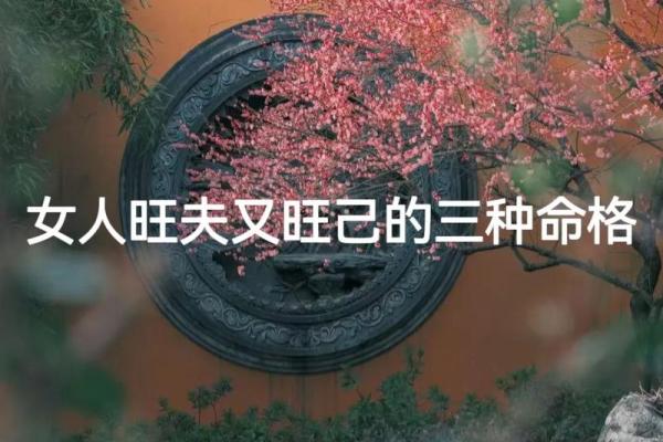 探索命理奥秘：五两三钱的命格解析与人生启示