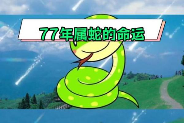 深入剖析1977年出生蛇年人的命运特征与缺失之处