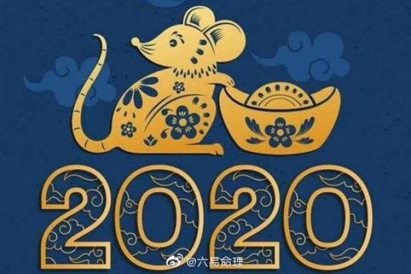 2020鼠年命理分析：如何弥补鼠年的不足，实现人生的全面发展