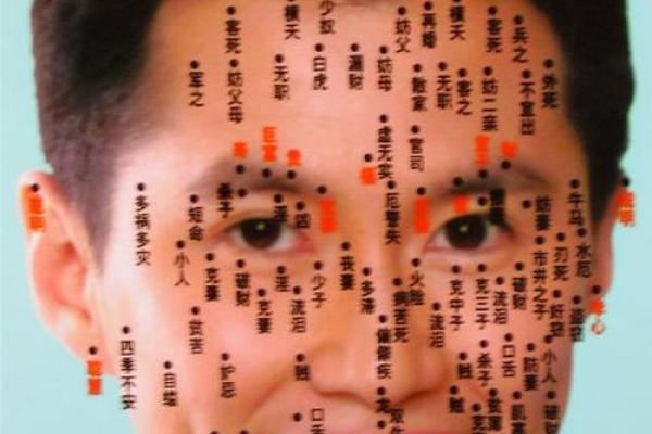 脸型与命运：从面相看富贵人生的秘密