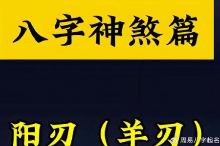 古代命理中的命与运：探秘命运背后的神秘力量