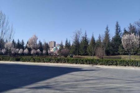 手指长短解析命运奥秘：指尖的秘密与人生轨迹