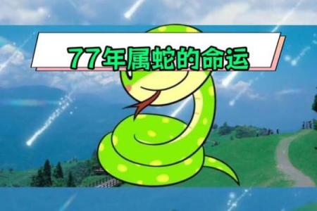 深入剖析1977年出生蛇年人的命运特征与缺失之处