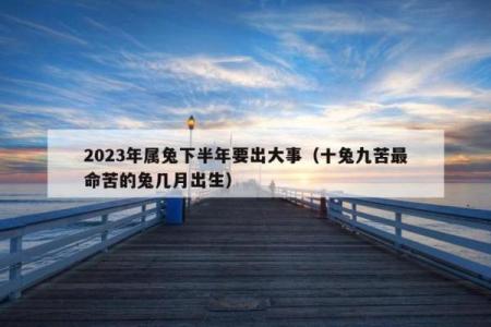 2023年属兔人的命运与缺失：如何弥补人生中的不足？