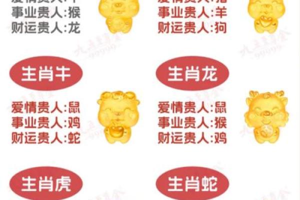 2020年鼠年出生的虎命人：运势、性格与未来发展分析