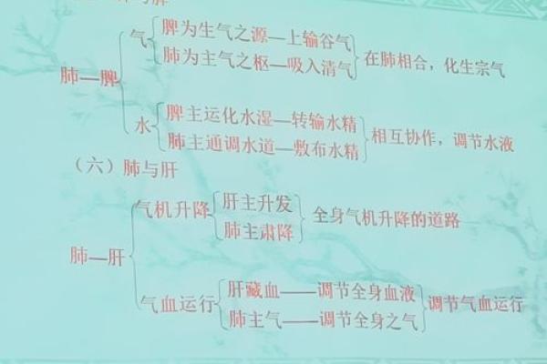 婴儿心命窝：探索新生儿的神秘象征与意义