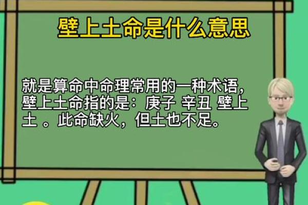 土命人适合什么职业？解密土命的职业发展之道！