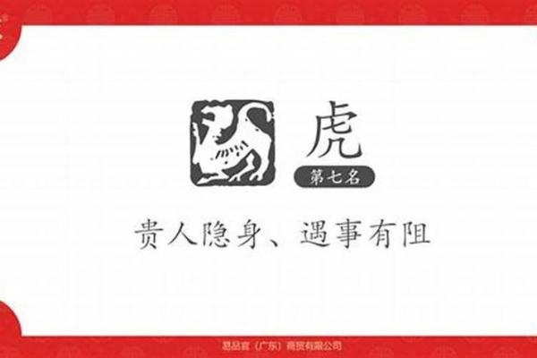 2019乙亥年：命理解析与运势探秘，助你抓住人生机遇！