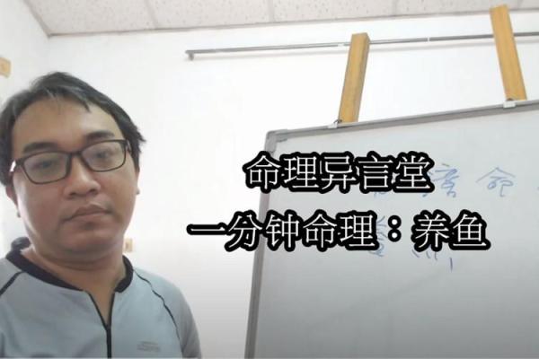 命理学中的神秘：谁不适合养鱼？解析命运与养鱼的关系