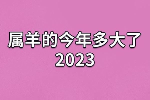 79岁属什么生肖？揭秘属羊的命运与生活智慧！