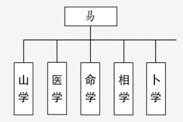 命理学中的饮食哲学：为什么我们应该少吃牛肉？