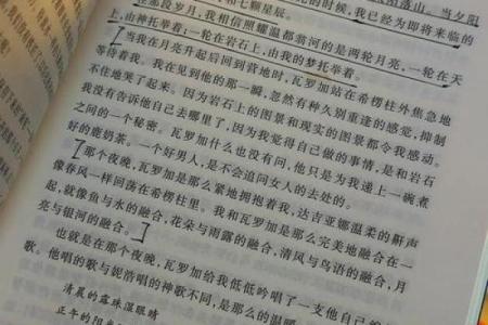 以命换命的抉择：生命交替中的深刻哲思与人性考验