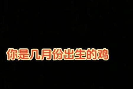 土土命：寻找最佳搭配，助你扬帆人生之路！