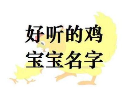 19936年出生的属鸡人命运解析：生活、性格与运势的全面剖析