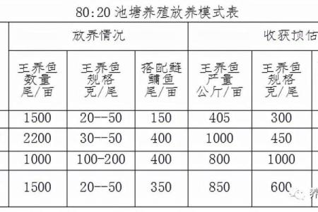 命理学中的神秘：谁不适合养鱼？解析命运与养鱼的关系