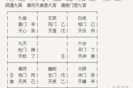 1975年乙卯兔的命运分析：如何正确把握人生方向