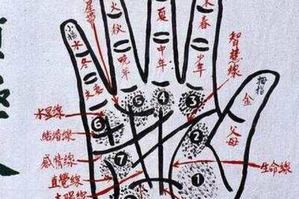 一九七八年出生的男孩命运探寻：从五行看人生的轨迹与可能性