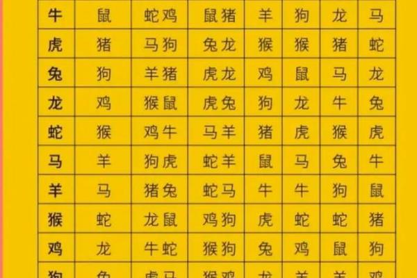 探秘生肖与命理：2024年属什么生肖，命运如何？