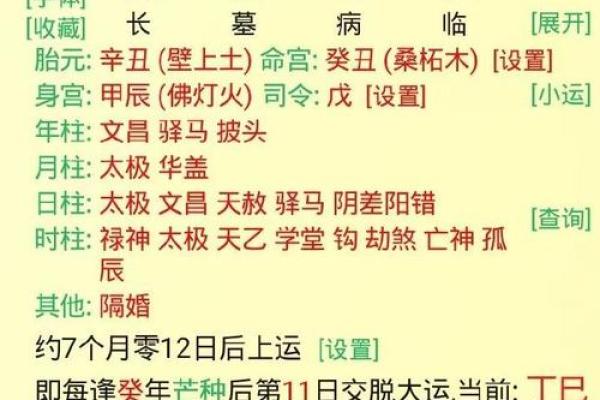 八五之年的命格解析：解密命理与时代的交融