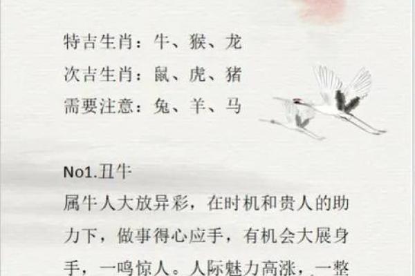 1950年出生的人，属虎，命运解析与人生智慧分享