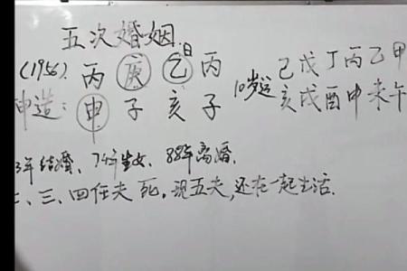 探索坤命的内涵与意义，揭示命理背后的智慧与哲学