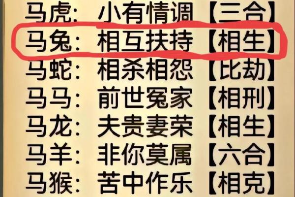 兔年出生人的命运解析：十二生肖兔子的性格与运势探秘