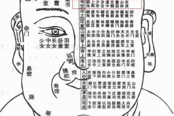 1964年火龙命人：探索他们的性格与命理缺失之处