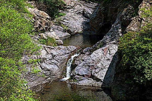 山间溪水：潺潺流水中的生命哲学