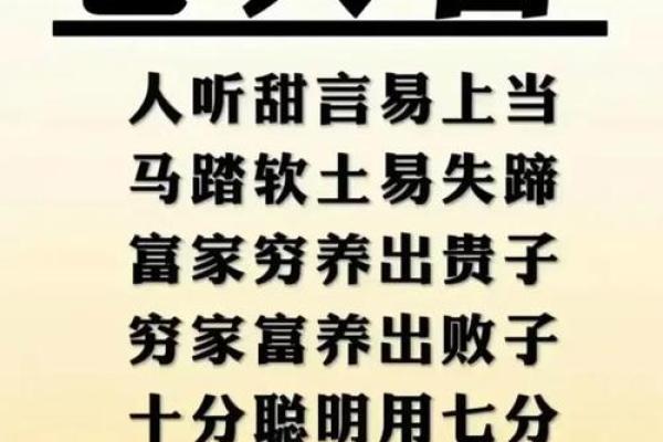 探索“什么家什么命”:成语背后的智慧与人生哲理 探索“什么家什么命”:成语背后的智慧与人生哲理