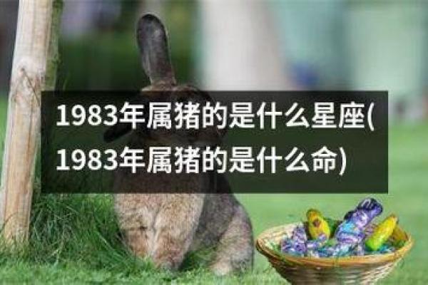 1986年属猪的命运分析与人生启示