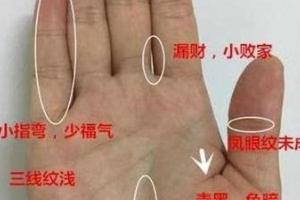 1971年出生者的命格解析与人生启示 1971年出生者的命格解析与人生启示