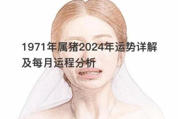 1971年生肖猪的命理解析:你的命运与性格揭示 1971年生肖猪的命理解析:你的命运与性格揭示