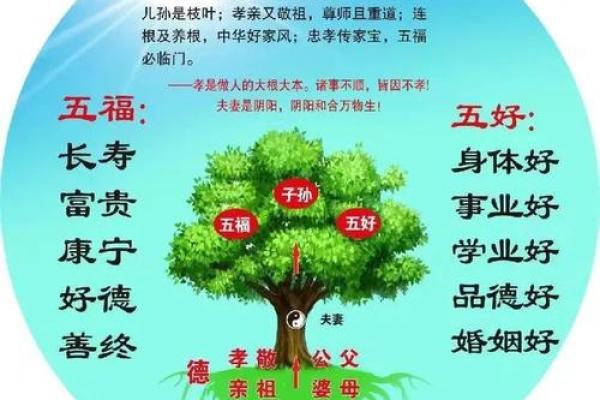 人能否改命？探讨命运与努力的关系