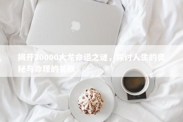 揭开20000大龙命运之谜，探讨人生的奥秘与命理的关联