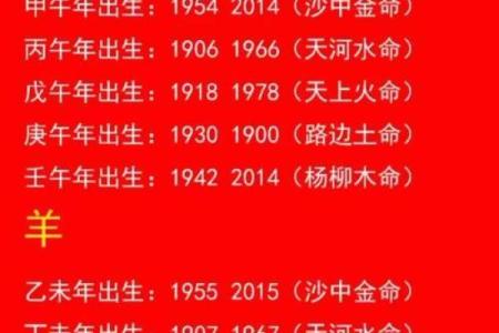 2019年出生的人命运解析：生肖与五行的深度剖析