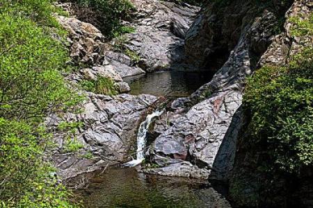 山间溪水：潺潺流水中的生命哲学