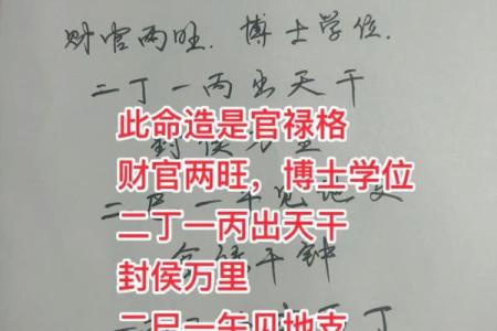 男乾命女命离的深奥解读与人生启示