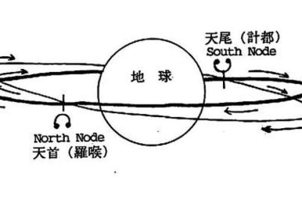 命理学的魅力与未来职业选择：从星辰看职业发展之路