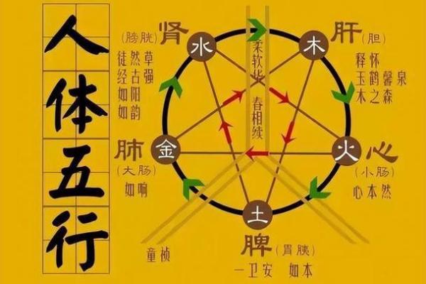 松柏木命与五行相生之道:探索自然的和谐与平衡 松柏木命与五行相生之道:探索自然的和谐与平衡