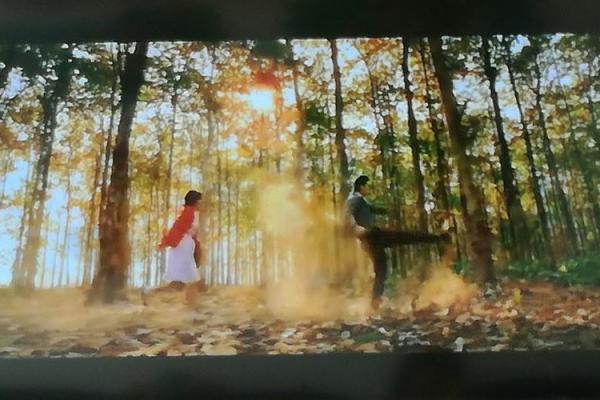 1969年冬月25日的奇妙命运:寒冬中的温暖故事 1969年冬月25日的奇妙命运:寒冬中的温暖故事