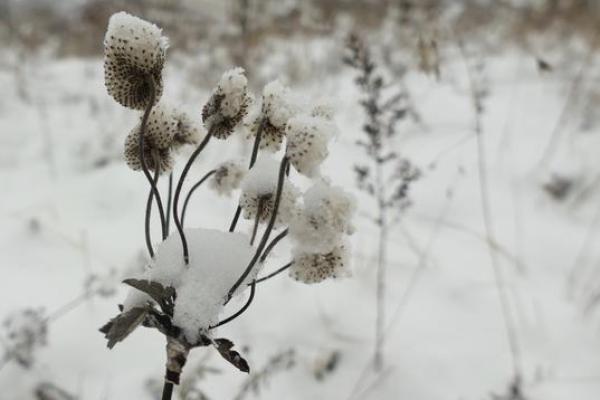 1969年冬月25日的奇妙命运:寒冬中的温暖故事 1969年冬月25日的奇妙命运:寒冬中的温暖故事