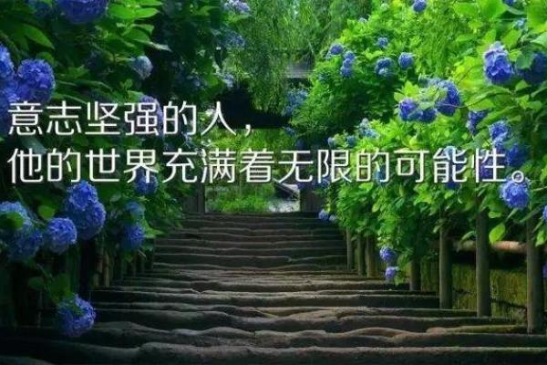 命运的密码:如何打开人生的无限可能性 命运的密码:如何打开人生的无限可能性