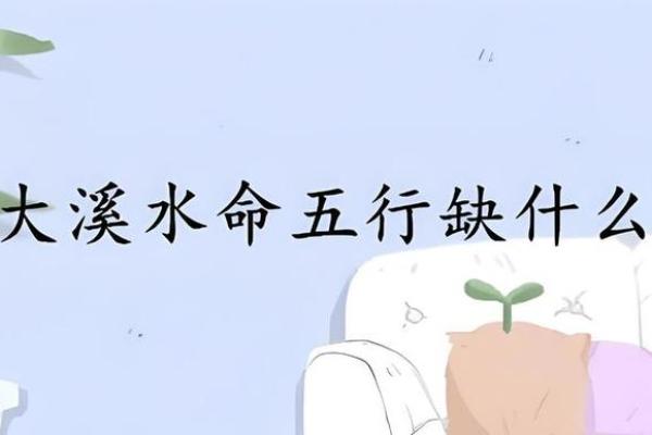 水命男与木命女：爱情与命理的完美结合