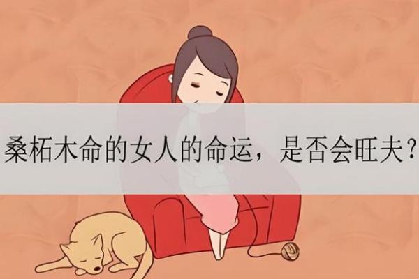 火命与木命的完美合作：寻求命理之道的和谐之美