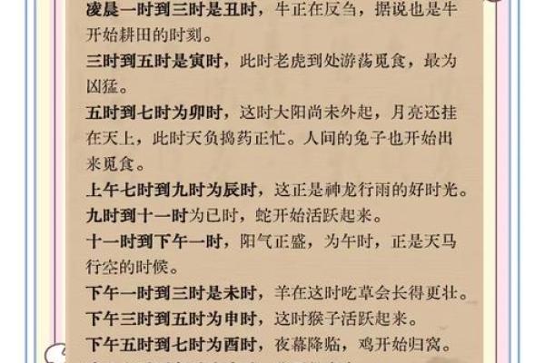 阴命土相人的命理解析与生活智慧