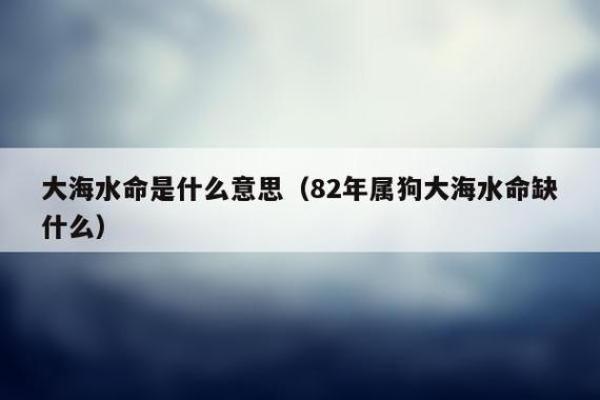 属狗大海命的首饰选择：让运势更佳的佩戴法则