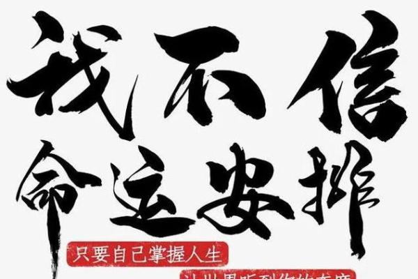 揭秘称骨2.9两的命运之路:如何把握人生机遇与挑战 揭秘称骨2.9两的命运之路:如何把握人生机遇与挑战