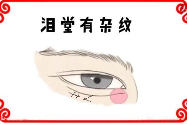 眼皮浅的人是什么命?浅谈相学与命理的奥秘 眼皮浅的人是什么命?浅谈相学与命理的奥秘