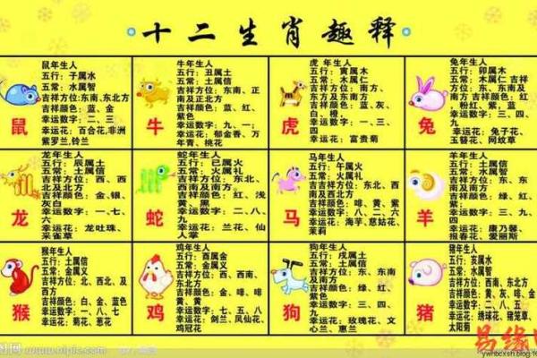 2019年属马的命运分析:探秘吉凶与未来的美好生活 2019年属马的命运分析:探秘吉凶与未来的美好生活